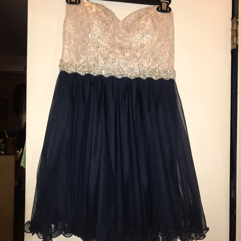 Pink and Navy Blue Dress